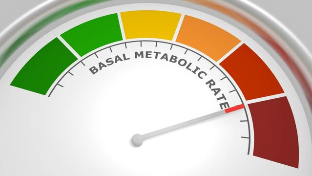 Basal metabolic rate abstract measuring device. Meter scale with arrow.