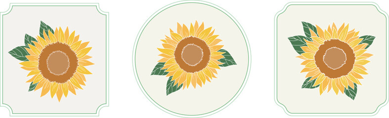 Sunflowers set vector illustration. Yellow flower frame set.