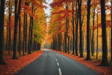 Obraz premium Beautiful empty Road in autumn forest at sunset, trees with red and orange foliage, Colorful landscape