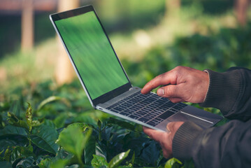 Smart farmer using laptop in eco green farm sustainable quality control. Close up Hand typing laptop computer quality control plant tree. Farmer hands using technology in eco Farmland biotechnology