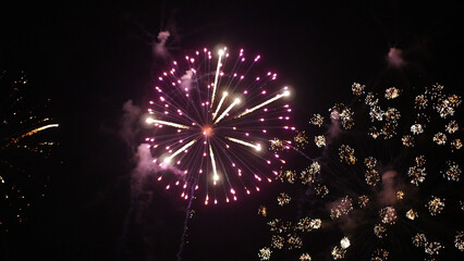 Purple Firework celebrate anniversary happy new year 2024, 4th of july holiday festival. Purple firework in night time celebrate national holiday. Violet firework Countdown to new year 2024 festival