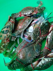 Photo of Crab still tied in a green bowl, Jagged mud crab with fresh seafood.