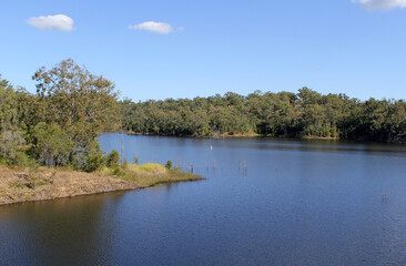 Serene body of water, forest of trees and blue sky at Lake Monduran in Queensland, Australia