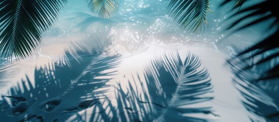Tropical Palm Tree Shadows Landscape Banner, Blue Ocean Waters White Sand Beach Wallpaper, Calm Spa and Sauna Artwork, Travel and Tourism Marketing Background Concept, Zen Meditation Graphic
