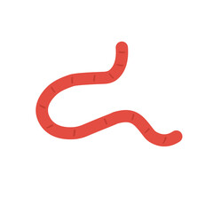 worm icon