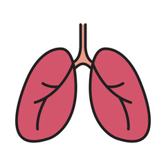 lung icon, human body anatomy