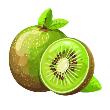 recommend clip art: Illustration of Whole and Sliced Kiwi Fruit
                    