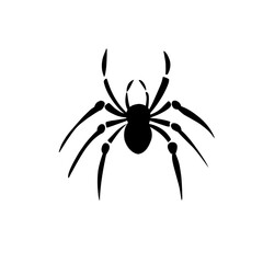 Spider silhouettes