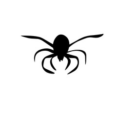 Spider silhouettes