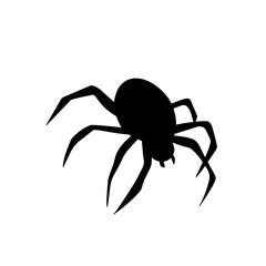 Spider silhouettes