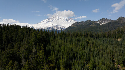 Panoramic View of Evergreen Forest with Snow-Capped Mountain Peaks under Clear Blue Sky