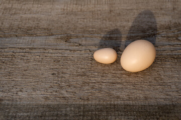 egg on a wooden surface with copy space