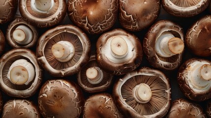 A close-up overhead view of brown mushrooms showing a natural repetitive pattern