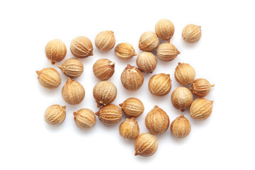 Close-up of Dried Coriander (Coriandrum sativum) seeds isolated on white background. Top view.