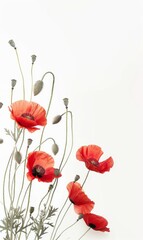 Fototapeta premium Abstract paint splash with red painted poppy on white background. Lest we forget. Remembrance day or Anzac day symbol. With copyspace for your text.