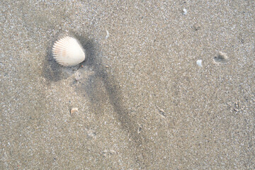 details of sand that were eroded by sea water Along the coast of Thailand