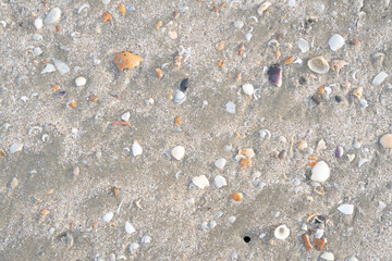 details of sand that were eroded by sea water Along the coast of Thailand