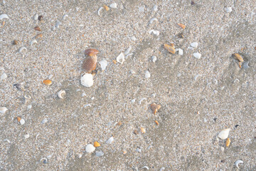 details of sand that were eroded by sea water Along the coast of Thailand