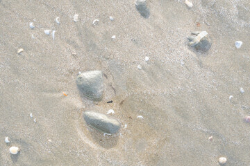 details of sand that were eroded by sea water Along the coast of Thailand