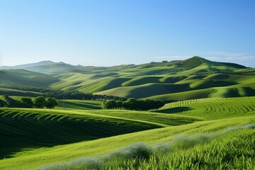 Fototapeta premium Green grass field with rolling hills in the background under clear sky, A serene landscape with rolling hills and a clear blue sky
