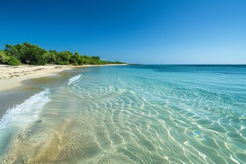 A beach with sandy shores, clear blue water, and lush trees providing a serene panorama, A serene panorama of a secluded beach with crystal clear water lapping at the shore