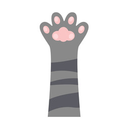 Cute Cat Paw
