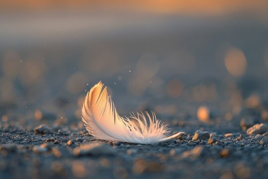 A white feather lying on the ground, softly resting after gently falling from above, A single feather falling slowly to the ground