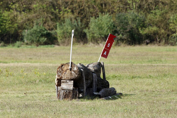 Obstacle, hurdle for sport horses stands on a green meadow