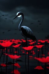 Fototapeta premium Exotic animal photography magazine cover