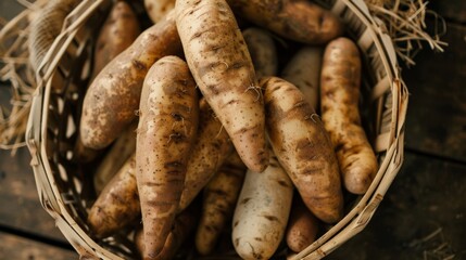 Freshly harvested yacon roots in a wicker basket on a wooden table.