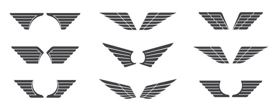 wings vector grey color