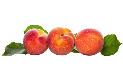Fresh apricots with leaves on a white background, in the style of copy space concept. Ripe, juicy fruit close up, natural organic food.