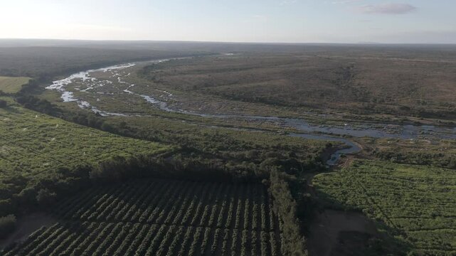 Drone view reveals contrasting sugarcane and pepper farms, divided by a seasonal river, bordering Kruger National Park. South Africa.
