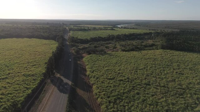 Drone view: Sugarcane meets pepper farms in a patchwork quilt, divided by a main road. Mpumalanga, South Africa.