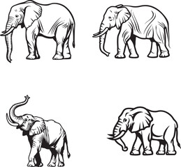A set of elephants drawing