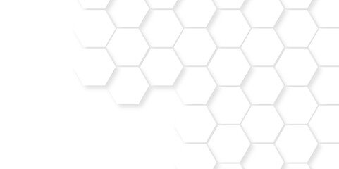 Vector White Hexagonal Background. Luxury White Pattern. Vector Illustration. 3D Futuristic abstract honeycomb mosaic white background. geometric mesh cell texture. modern futuristic wallpaper.