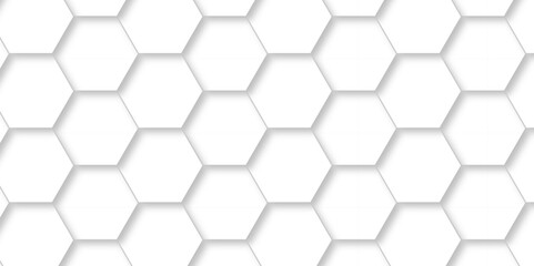 	
Vector White Hexagonal Background. Luxury White Pattern. Vector Illustration. 3D Futuristic abstract honeycomb mosaic white background. geometric mesh cell texture. modern futuristic wallpaper.