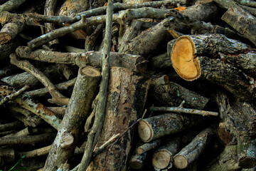 Natural background of cutted wood branches, Pile of dry wood for firewood, 