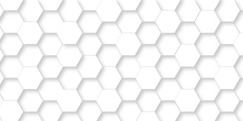 Vector White Hexagonal Background. Luxury White Pattern. Vector Illustration. 3D Futuristic abstract honeycomb mosaic white background. geometric mesh cell texture. modern futuristic wallpaper.