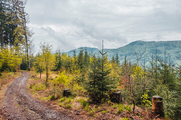 spring in the mountains