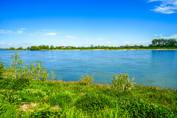 View of the Rhine from the bank. Landscape by the river.
