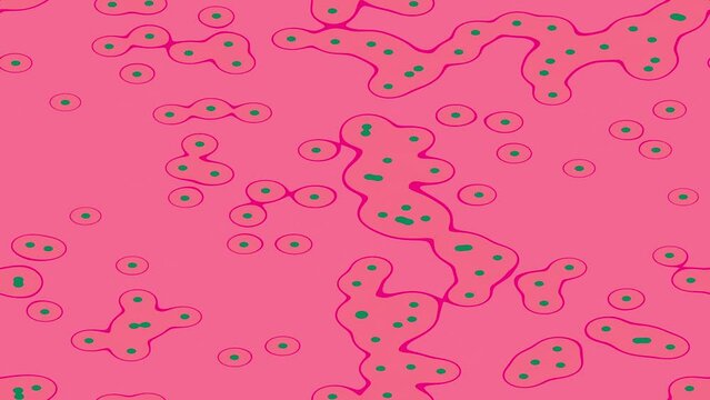Colorful Nucleus Embrio Cell Animation