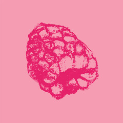 Raspberry symbol, raspberries illustration. Vector monochrome raspberries and blackberries drawings. Pink berry icon for logo design. Blackberry sketch. Handdrawn mulberry sign.