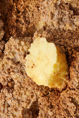 Danakil depression in Ethiopia