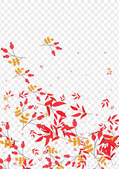 Pink Berries Background Transparent Vector. Leaves Simple Set. Red Herb Isolated. Sale Texture. Foliage Outline.