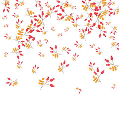 Burgundy Berries Background White Vector. Herb Autumn Frame. Red Leaf Paper. Floral Template. Foliage Sale.