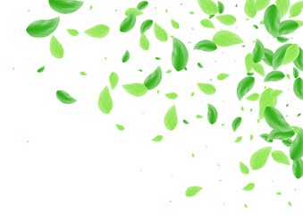 Green Greenery Background White Vector. Leaf Subtle Illustration. Elegant Design. Greenish Spring Texture. Sheet Motion.