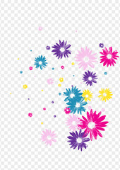 Violet Flower Background Transparent Vector. Petal Flourishes Tile. Multi-colored Garden Young. Scribble Texture. Bloom Colorful Floral.