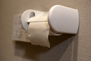 Wall toilet paper holder, Toilet tissue roll