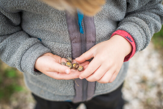 Child holding small snails in their hands, wearing a grey jacket